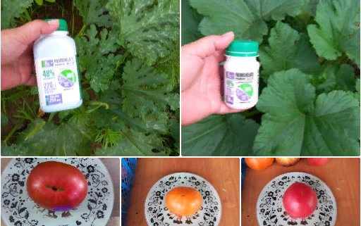 Рецепт подкормки для томатов стимулирующей увеличение массы плода.