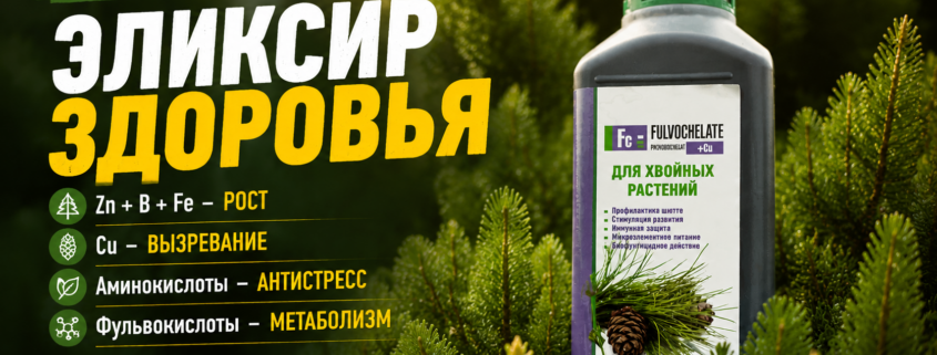 Фульвохелат для хвойных растений: физиологический разбор состава и его роли в хвойных растениях